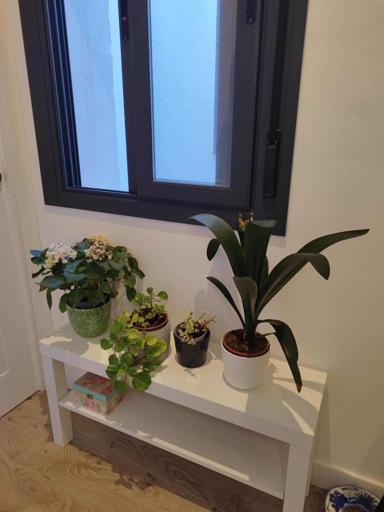 Calle Pureza Nº59 Seville Ngoại thất bức ảnh